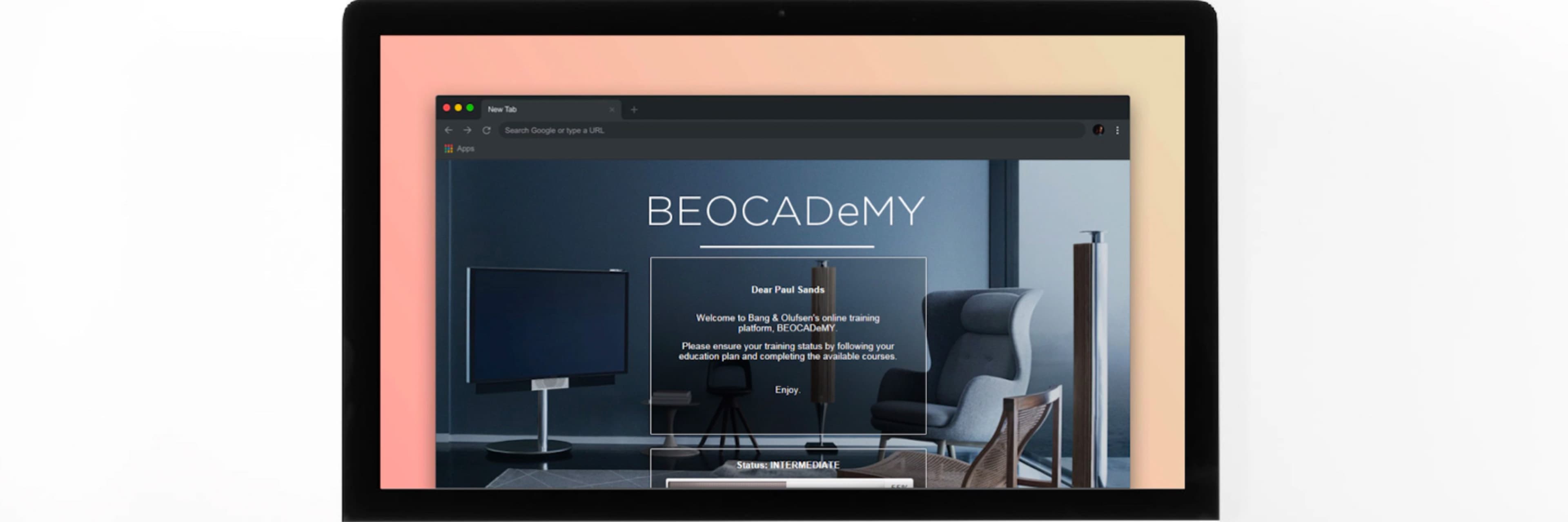 Bang & Olufsen — premium retail service experience